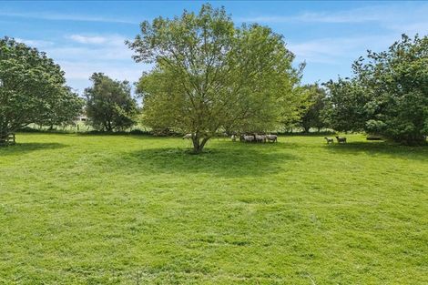 Photo of property in 569 Arapuni Road, Kihikihi, Te Awamutu, 3872