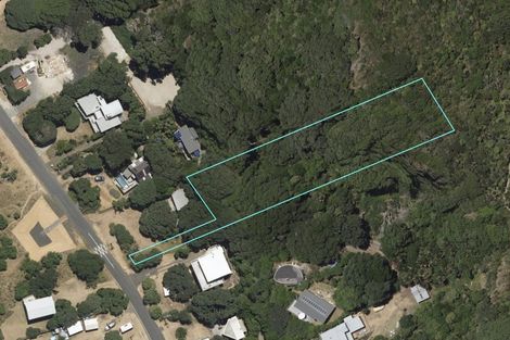 Photo of property in 59 North Piha Road, Piha, 0772