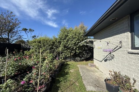 Photo of property in 297 Pine Avenue, South New Brighton, Christchurch, 8062