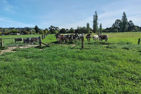 Photo of property in 19 Whiting Drive, Wakefield, 7025