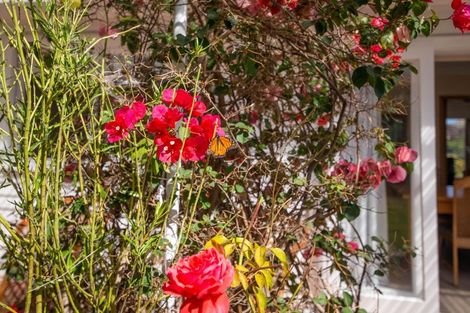 Photo of property in 43 High Street, Glenholme, Rotorua, 3010