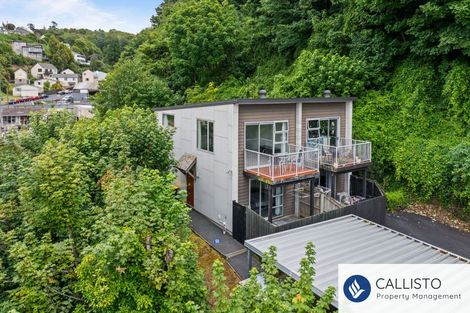 Photo of property in 66a Maclaggan Street, Dunedin Central, Dunedin, 9016