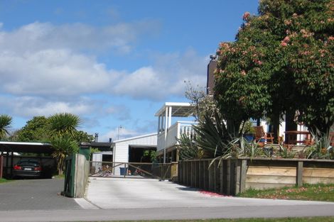 Photo of property in 133 Rickit Street, Taupo, 3330