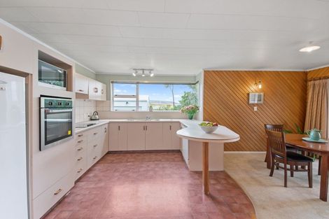 Photo of property in 175 Tiro Tiro Road, Levin, 5510