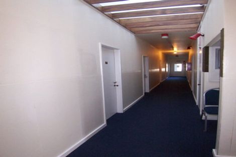 Photo of property in 113 Coromandel Street, Newtown, Wellington, 6021