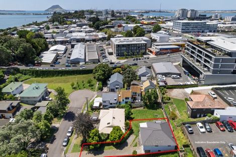 Photo of property in 6 Sheath Street, Tauranga, 3110