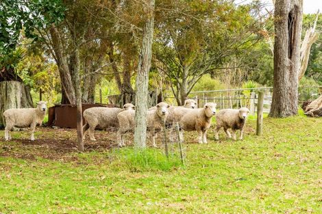 Photo of property in 6b Tangowahine Valley Road, Tangowahine, Dargaville, 0372