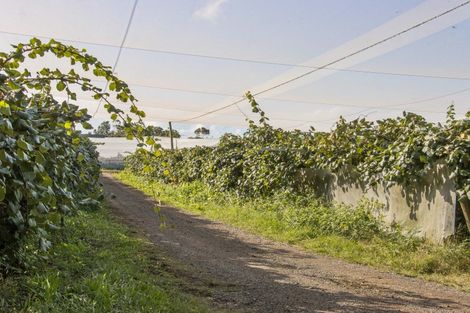 Photo of property in 416 State Highway 2, Tahawai, Katikati, 3170