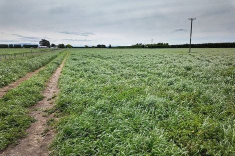 Photo of property in 85 West Road, Mangatainoka, Pahiatua, 4982
