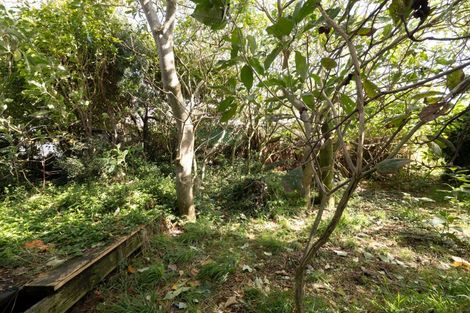 Photo of property in 77 Mould Street, Waitara, 4320