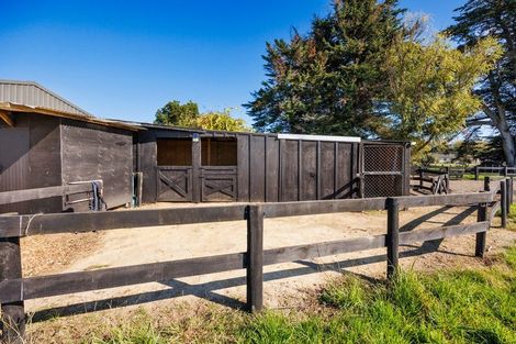 Photo of property in 292 Kairanga Bunnythorpe Road, Bunnythorpe, Palmerston North, 4478