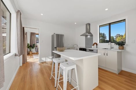 Photo of property in 8 Martin Road, Fairfield, Dunedin, 9018