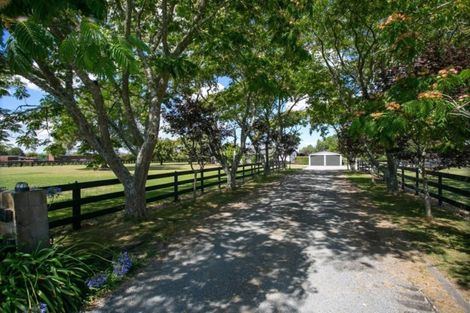 Photo of property in 48 Peake Road, Cambridge, Hamilton, 3283