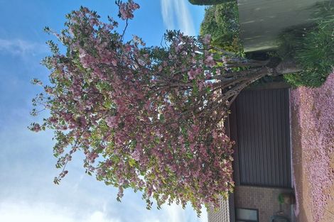 Photo of property in 44 Fairweather Crescent, Kaiapoi, 7630