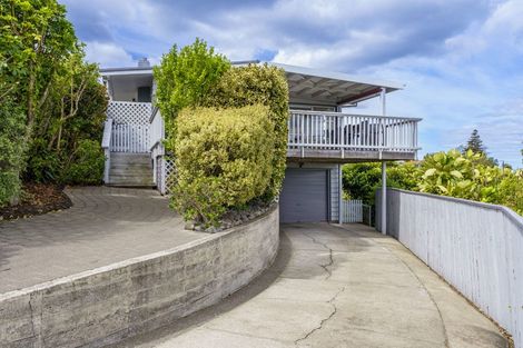Photo of property in 25 Simla Terrace, Hospital Hill, Napier, 4110