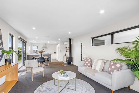 Photo of property in 141 Infinity Drive, Pegasus, 7612