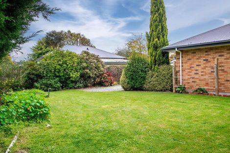 Photo of property in 20a George Street, Geraldine, 7930