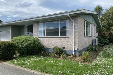 Photo of property in 28 Mathers Road, Hoon Hay, Christchurch, 8025