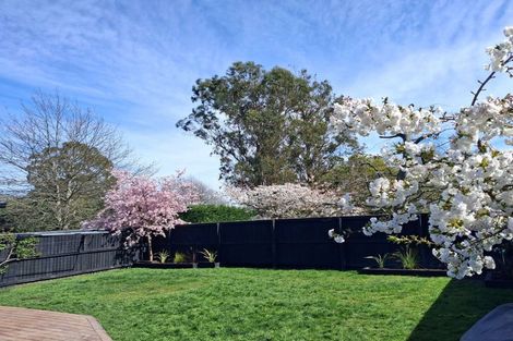 Photo of property in 33 Tara Crescent, Woodend, 7610