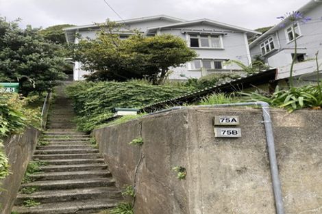 Photo of property in 75a Todman Street, Brooklyn, Wellington, 6021