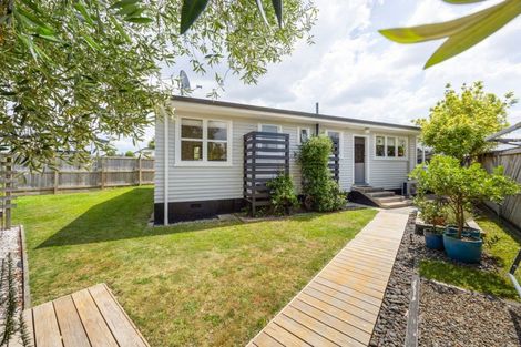 Photo of property in 16 Donny Avenue, Chartwell, Hamilton, 3210