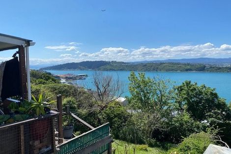 Photo of property in 55 Overtoun Terrace, Hataitai, Wellington, 6021