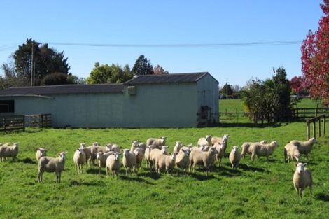 Photo of property in 40 School Road, Riwaka, Motueka, 7198