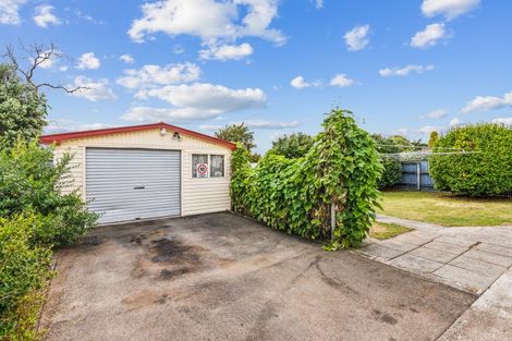 Photo of property in 7 Vogel Street, Levin, 5510