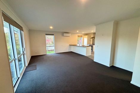 Photo of property in 27 Parnassus Street, Waiau, 7332
