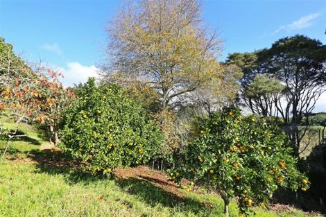 Photo of property in 20a Ostrich Farm Road, Pukekohe, 2676