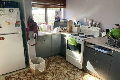 Photo of property in 17 Rosalind Street, Stratford, 4332