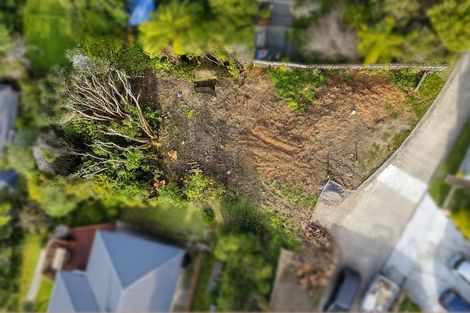 Photo of property in 58d Lincoln Avenue, Tawa, Wellington, 5028