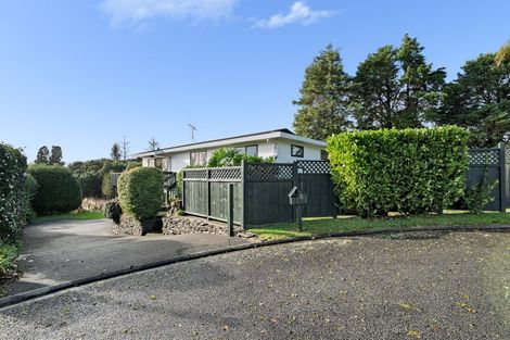 Photo of property in 18 Waikareao Way, Brookfield, Tauranga, 3110