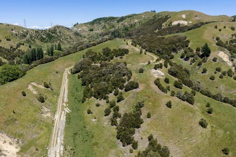 Photo of property in 16 Linden Close, Eskdale, Napier, 4182