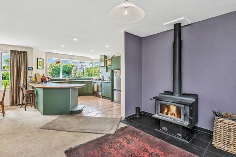 Photo of property in 1137 Drain Road, Leeston, 7682