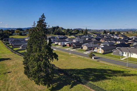Photo of property in 31 Murray Ward Drive, Te Kauwhata, 3710