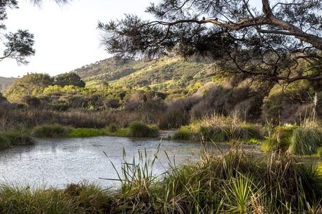 Photo of property in 487 Wilson Road, South Head, Helensville, 0874