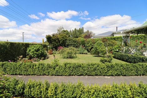 Photo of property in 61 Cornwall Street, Masterton, 5810