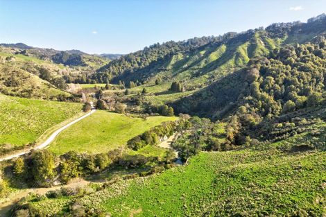 Photo of property in 918 Makakaho Road, Ngamatapouri, 4588