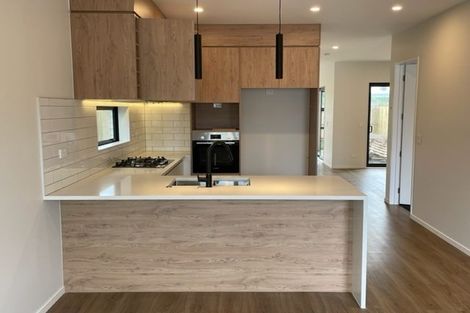 Photo of property in 17 Pilot Drive, Hobsonville, Auckland, 0616