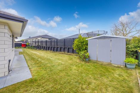 Photo of property in 43 Carlingford Rise, Dinsdale, Hamilton, 3204