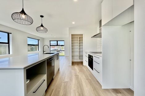 Photo of property in 15 John Gibb Street, Belfast, 8051