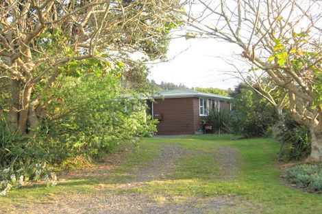 Photo of property in 113 Patuwai Drive, Whangamata, 3620