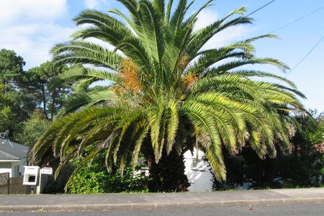 Photo of property in 1/22 Marina Road, Torbay, Auckland, 0630