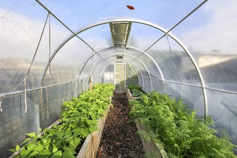 Photo of property in 167 Govett Avenue, Frankleigh Park, New Plymouth, 4310