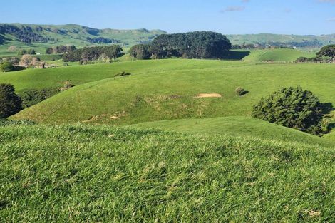 Photo of property in 899 Te Akau Road, Te Akau, Ngaruawahia, 3793