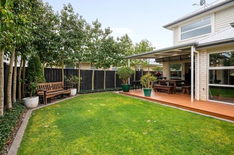 Photo of property in 53 Herbert Road, Queenwood, Hamilton, 3210