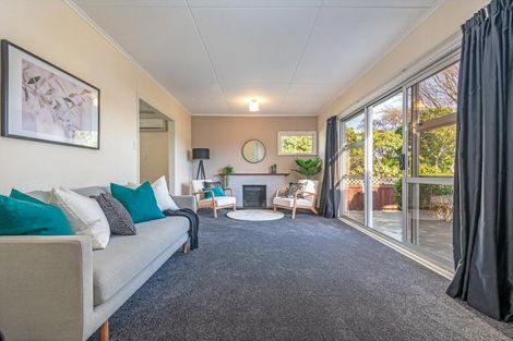 Photo of property in 24 Salisbury Avenue, Terrace End, Palmerston North, 4410