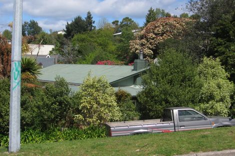 Photo of property in 141 Rickit Street, Taupo, 3330