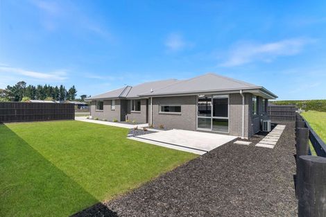 Photo of property in 36 Plover Avenue, Amberley, 7410